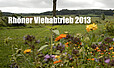 Rhöner Viehabtrieb 2013 in Simmershausen
